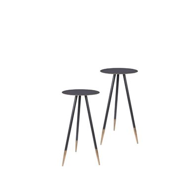 Dutchbone Plantenstandaard Stalwart (Set van 2) 85 cm                                                       