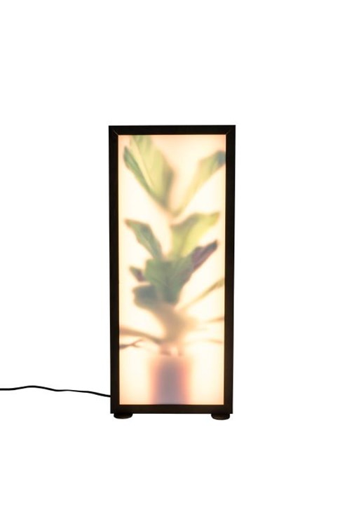 Zuiver Vloerlamp Grow L                                                           