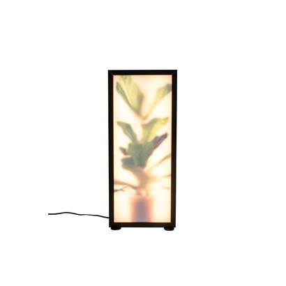 Zuiver Vloerlamp Grow L                                                           