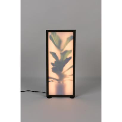 Zuiver Vloerlamp Grow L                                                           