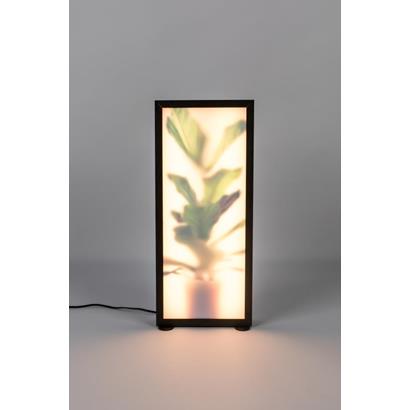 Zuiver Vloerlamp Grow L                                                           