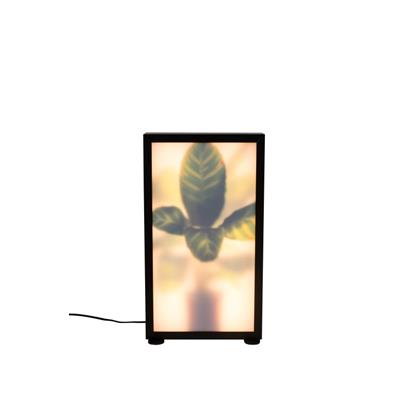 Zuiver Vloerlamp Grow M                                                           