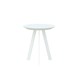 Witte Lak
