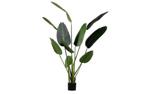 Kunstplant Strelitzia 164 cm