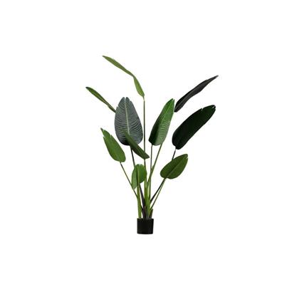 Kunstplant Strelitzia 164 cm