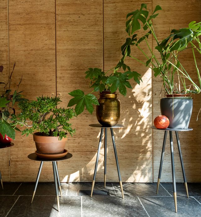 Multifunctioneel en stijlvol: plantenzuilen